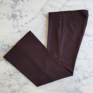 NWOT. Xi Brown Stretchable Flare Leg Dress Pant.
